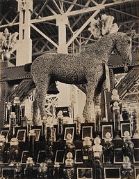 The 1904 World's Fair, St. Louis, Missouri: a horse constructed from Sacramento hops; part of a California agricultural exhibit. Photograph, 1904.