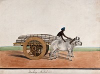 A man driving a bullock cart laden with sacks. Watercolour by an Indian artist.