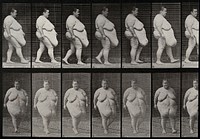An obese woman walking. Collotype after Eadweard Muybridge, 1887.