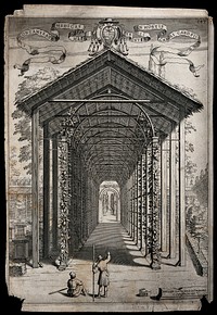 Two men in the garden of Cardinal Carlo Pio di Savoia admiring a pergola on which citron fruits are growing. Engraving by C. Cungi after F. Gagliardi, 16--.