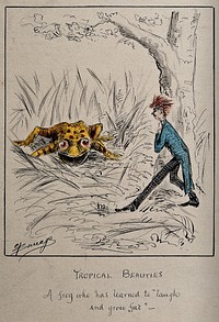 A young man chances on a gigantic yellow frog. Drawing attributed to Edwin Harcourt Burrage, 18--.