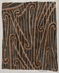Puhoro: tracing of the chisel cuts used in a Maori design of tattooing on the thigh. Watercolour by H.G. Robley.