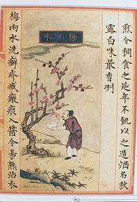 Chinese Materia Dietetica, Ming: Plum rain water