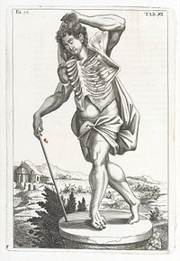 A compleat treatise of the muscles : as they appear in humane body, and arise in dissection; with diverse anatomical observations not yet discover'd. Illustrated by near fourty copper-plates, accurately delineated and engraven / By John Browne.