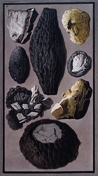 Pieces of lava and vitrified, flinty matter found after the eruption of Mount Vesuvius on 8 August 1779. Coloured etching by Pietro Fabris, 1779.