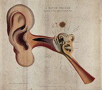 The human ear: a diagram showing the parts of the inner and outer ear. Coloured line engraving drawn by G. Kirtland in 1801 and published in 1815.