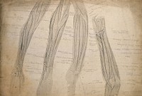 Muscles of the arm: four figures. Pencil drawing, 1804/1815.