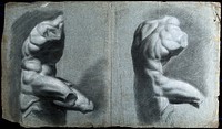 The Belvedere Torso. Black chalk drawing with white highlights by J.J. Masquerier.