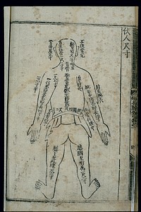 Anatomical measurements, prone figure, Chinese woodcut