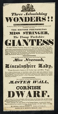 Three astonishing wonders!! ... : the British phenomenon Miss Stringer, the young Yorkshire Giantess ... Miss Newcomb, the Lincolnshire Lady ... Master Wall, the Cornish Dwarf.