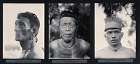 Sarawak: two tribal chiefs and a Kenyah man. Photograph.