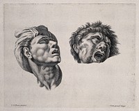 Two heads, both in states of fear. Engraving after C. Le Brun.
