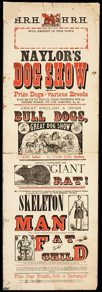 Naylor's Dog Show consisting of prize dogs of various breeds... : novelty extraordinary giant rat... : Mr. Samson, the wonderful Living Skeleton Man who is greatly contrasted with the extraordinary American Fat Child.