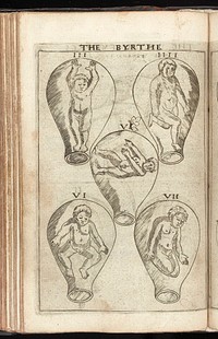 The byrth of mankynde, otherwyse named the womans booke : Newly set furth, corrected and augmented. Whose co[n]tentes ye maye rede in the table of the booke, and most playnly in the prologue / By Thomas Raynold phisition.