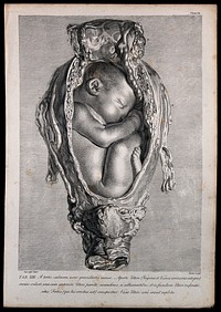 Dissection of a pregnant uterus, showing the foetus at nine months, with its head facing upwards. Copperplate engraving by Mechel after I.V. Rymsdyk, 1774, reprinted 1851.