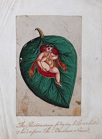 Bala Krishna lying on a banyan leaf, sucking his toe. Gouache painting on mica by an Indian artist.