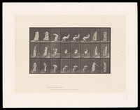 A clothed woman sits on a chair then stands. Collotype after Eadweard Muybridge, 1887.
