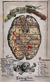 Illustrated menu card for the farewell dinner to Professor Johnson Symington. Coloured woodcut by George Algernon Fothergill, 1893.