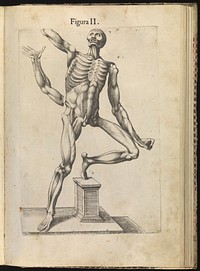 La anatomia del corpo umano / composta da M. Giovanni Valverde. Nuovamente ristampata. E con l'aggiunta di alcune tavole ampliata.