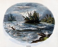 Geography: rapids in North America. Coloured wood engraving by C. Whymper.