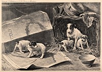 A bitch is sitting in a basket watching her puppies play on a carthographic map on the ground. Line block after J. S. Hayes.