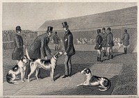 Men in top hats releasing their dogs from the kennels and preparing them for a race. Etching by E. Hacker after E. Corbet.