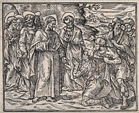 Christ cures a man of leprosy; an apostle holds a garment in front of him. Woodcut.