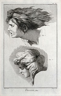 Two heads in profile. Engraving by B.L. Provost after Raphael.