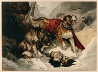 Two St. Bernard dogs find an injured man, while one tries to revive him the other alerts the rescue party of his presence. Chromolithograph after E. Landseer, 1860/1880.