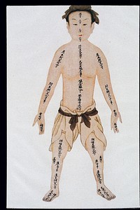 Human bone measurements, front view, C17/18 Chinese book art