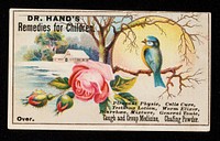 Dr. Hand's remedies for children : pleasant physic, colic cure, teething lotion, worm elixir, diarrhoea mixture, general tonic, cough and croup medicine, chafing powder.