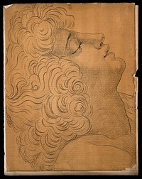 Profile of a boy which, according to Lavater, exemplifies Raphael's approach to noses and chins in profile. Drawing, c. 1791, after Raphael.