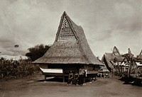 A house with a high, pointed thatch roof with decorative detail; behind it is a similar shaped house for fowl. Photograph, 1890/1910.