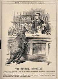 A pharmacist making up a prescription for a kangaroo; representing Chamberlain's advocacy of the Commonwealth of Australia. Wood engraving by J. Swain after Sir J. Tenniel, 1900.
