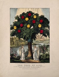 A tree bearing apples labelled with virtues; representing the life of Christian virtue. Coloured lithograph, 1870, after J. Bakewell, 1771.