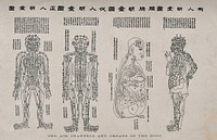 Anatomical chart, showing the air channels and organs of the body; four figures. Wood engraving  with letterpress on rice paper, Ming 18--.