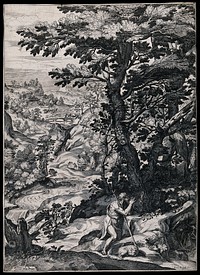 Saint John the Baptist in the wilderness, praying. Engraving by G. Franco, 158-, after G. Muziano.