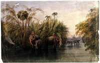 Elephants drinking in a river in Sri Lanka, with men in turbans seated upon their backs. Watercolour by A. Nicholl, 18--.