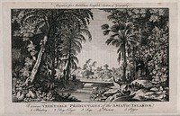 Workers harvesting sago in a tropical wooded glade with a bilimbi tree, a sago palm, a durian tree and a pepper plant. Engraving, c. 1777.