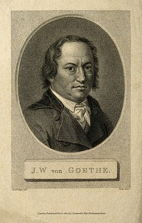 Johann Wolfgang von Goethe. Stipple engraving by W. Nutter [], 1801, after Meyer after F. Büri, 1800.
