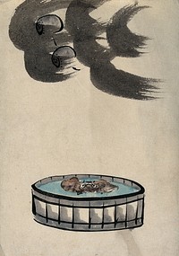 An animal in a tub of water. Watercolour by a Chinese artist.