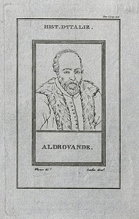 Ulisse Aldrovandi. Etching, 1805.