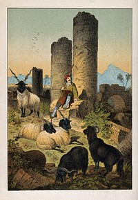 A Greek shepherd resting on the ruins of a temple near his flock. Colour line block.