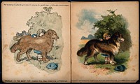 A little girl reading to her three dogs; introducing a set of advertisements for Nubolic soap. Chromolithograph by A. Reeve.