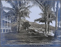 The Isthmian Canal Commission (ICC) Sanitarium, Taboga Island, Panama, with view of village and beach. Photograph, ca. 1910.
