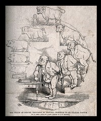 The evolution of a pig into a bull into an imposing man, and a book into an oven dish; representing Darwin's theories. Wood engraving after C. Bennett, 1863.