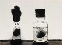 The Pasteur Institute, Kasauli, India: stages in the preparation of the rabies vaccine: rabbit brains suspended in ether (right) and preserved in glycerine (left). Photograph, ca. 1910.