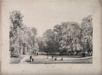 The Walks, Oxford. Etching by W.B. Cooke, 1838, after J.M. Ince.