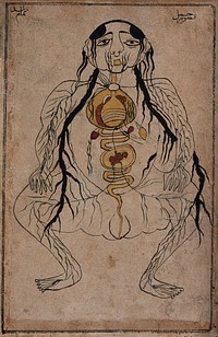 The viscera with a foetus in utero. Watercolour drawing by a Persian artist.