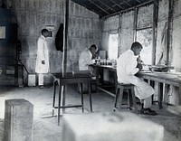 India: a field laboratory: scientists in white lab. coats work with microscopes inside a rudimentary building. Photograph, 1900/1920 .